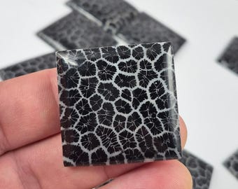 Black Coral Square Cabochon for Bold Jewelry • 40x40mm