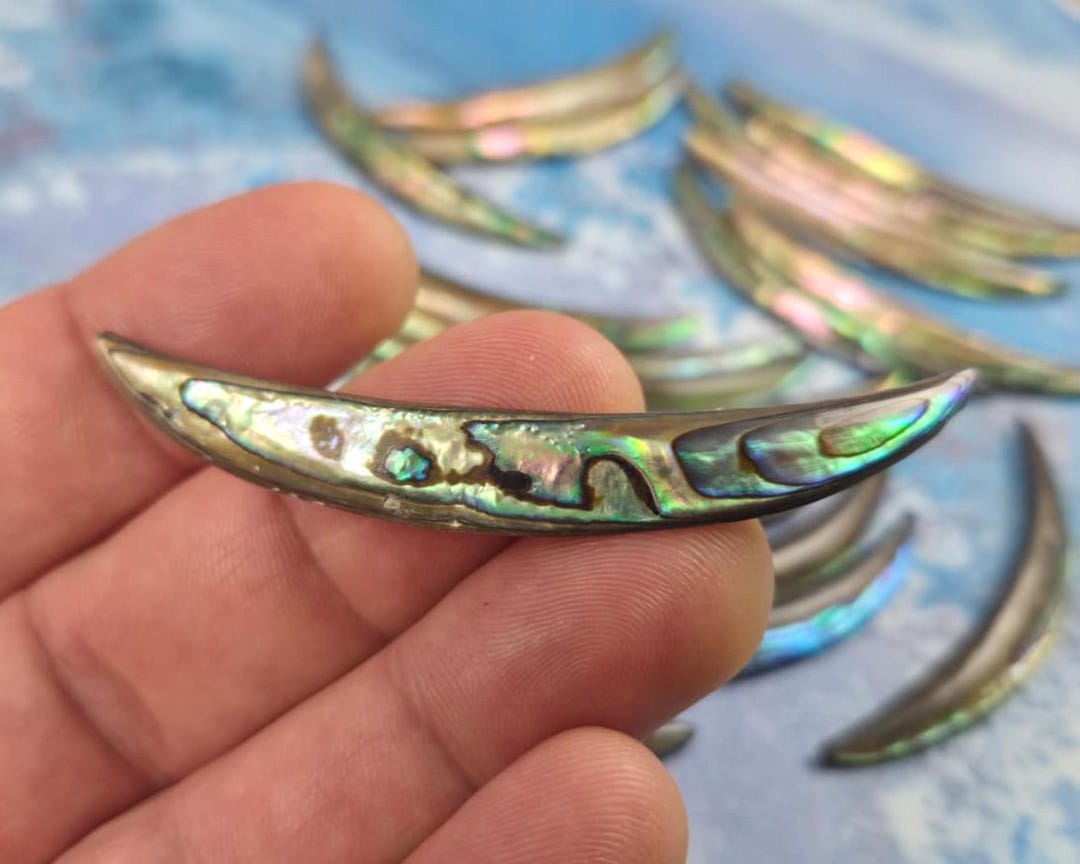 Long Abalone Shell Crescent Spike Focal • 77mm - Etsy