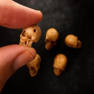 以下が含まれることがあります： 小さな茶色の頭蓋骨のフィギュアのクローズアップ。1つは指で持たれ、他は暗い表面に散らばっています。頭蓋骨には、眼窩や鼻腔などの詳細な特徴があり、おそらくミニチュアの装飾品です。