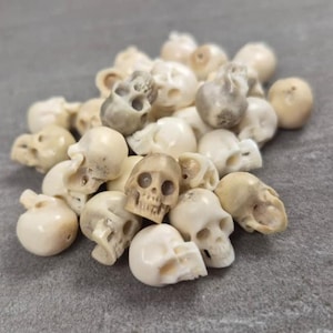 May include: A pile of small, off-white skull figurines. The skulls vary in size and detail, with visible eye sockets, nasal cavities, and teeth. Some skulls have a slightly darker, aged appearance. The skulls are arranged on a gray surface.