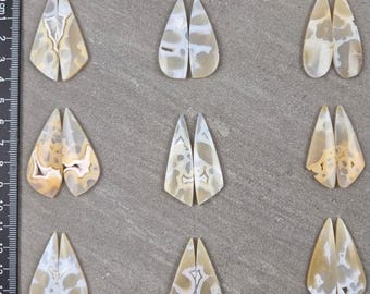 May include: Nine pairs of teardrop-shaped, polished gemstones. The stones feature a mix of beige, cream, and light brown patterns. The gemstones are arranged on a gray surface, showcasing their unique veining and color variations.