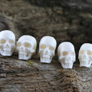 May include: Five small, white skull figurines are arranged on a piece of weathered wood. Each skull has detailed features, including eye sockets, a nose cavity, and teeth. The skulls are evenly spaced, creating a symmetrical arrangement.