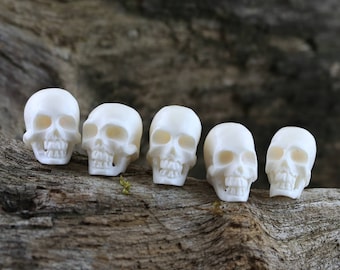 5PC Set Skull Bone Carvings Realistic Intricately Carved Bead Cow Bone Handmade Jewelry Designers and Collectors Sets Organic, Recycled 17MM