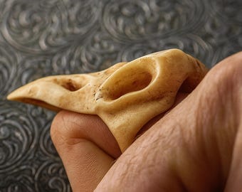 May include: A carved bone ring in the shape of a bird skull, held in a hand. The ring is a light tan color with detailed carving, featuring eye sockets and a beak. The background is a textured, patterned surface.