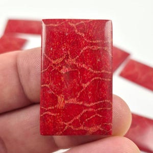 May include: A rectangular, polished red gemstone with a unique, web-like pattern in a lighter shade of red. Several similar stones are visible in the background, suggesting a collection or set of jewelry components.