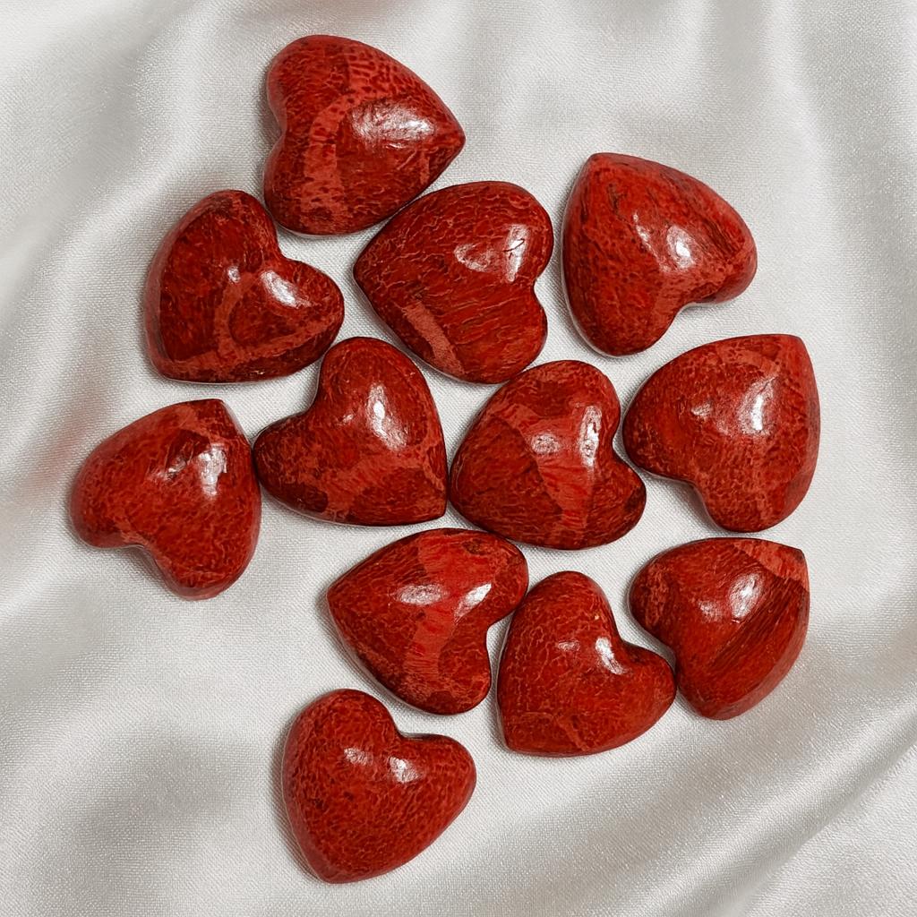 Fossil Coral Heart - Etsy
