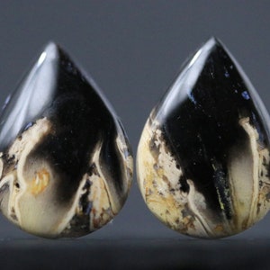 May include: Two teardrop-shaped, polished stones with a black, white, and brown marbled pattern.
