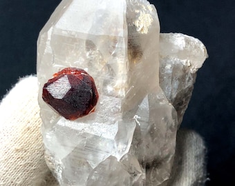 Red Garnet Crystal On Clear Quartz Specimen - 71 Gram