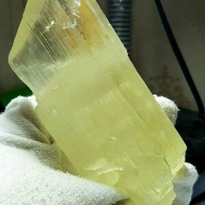 May include: A large, pale yellow crystal held in a white gloved hand. The crystal has a rectangular shape with a faceted surface and a slightly rough texture. The color is a soft, translucent yellow.