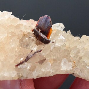 May include: A close-up of a mineral specimen featuring a cluster of clear quartz crystals with a light beige hue. A dark reddish-brown and orange crystal formation is embedded within the quartz, adding a striking contrast. The specimen is held in a hand.
