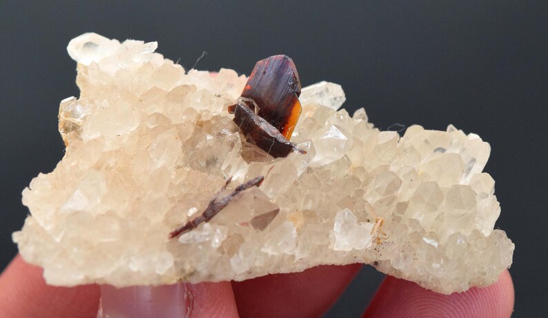May include: A close-up of a mineral specimen featuring a cluster of clear quartz crystals with a light beige hue. A dark reddish-brown and orange crystal formation is embedded within the quartz, adding a striking contrast. The specimen is held in a hand.