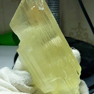 May include: A translucent, pale yellow crystal with a rectangular shape and a textured surface. The crystal is held in a white glove. The crystal's facets catch the light, revealing internal striations. This mineral specimen is a beautiful example of natural crystal formations.
