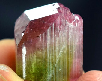 Bi-Color Tourmaline Crystal Diamond Cut Terminated And Undamaged - 34.50 CTs