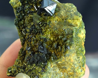 Rare Magnetite With Diopside Crystals Specimen - 104 Gram