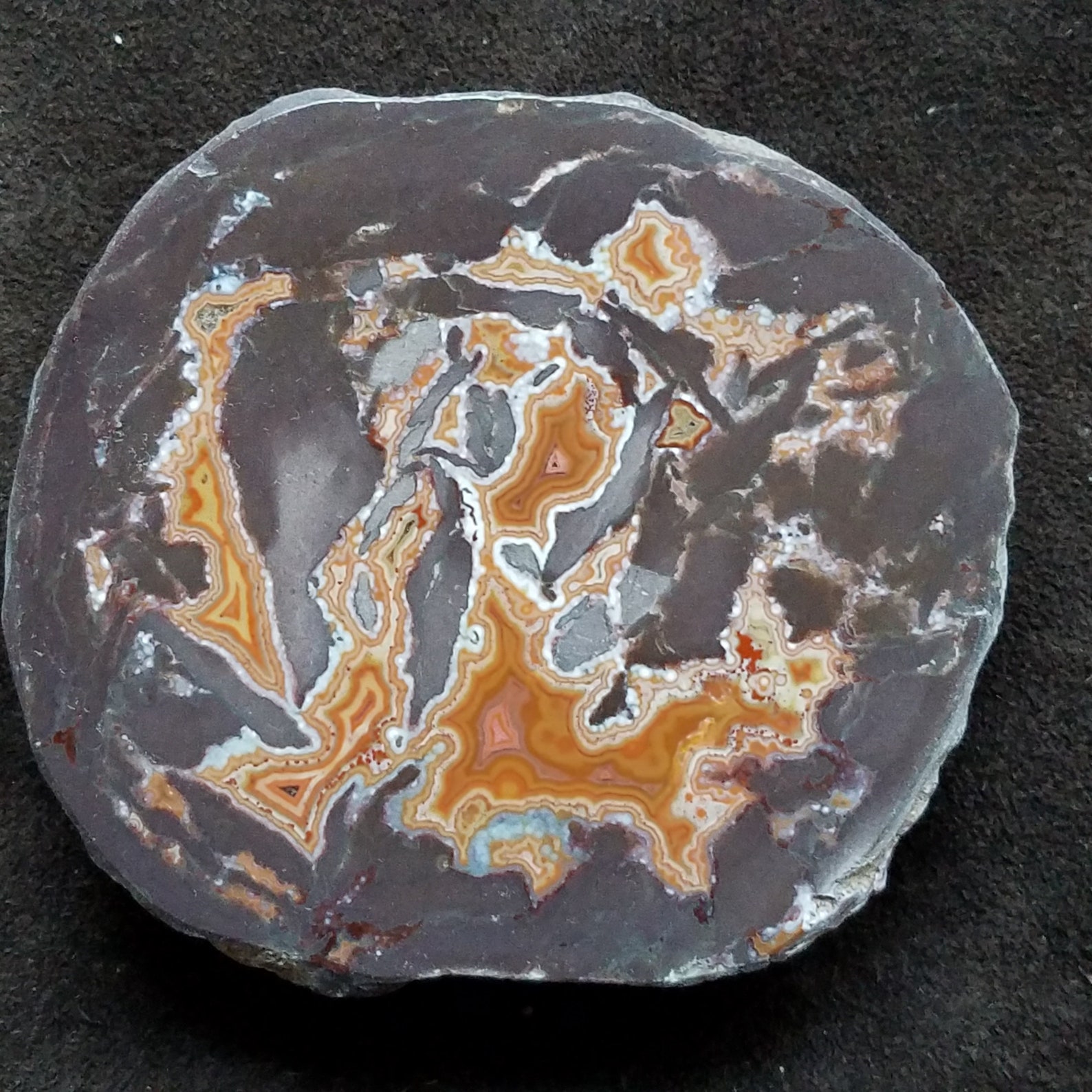 Dryhead Agate Specimen for Display Etsy