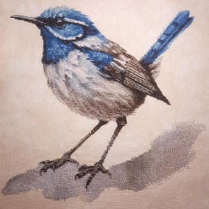 Punto croce PDF Blue Wren. Compatibile con Pattern Keeper. Download immediato. Punto croce contato.