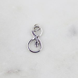 Sterling Silber Schlange Unendlich Charm, 925 Schlange Anhänger, Ouroboros Schlange Charm, Unendlichkeit Symbol, Medusa // handgemachter Schlangen Anhänger // B-NN1220S (T07)