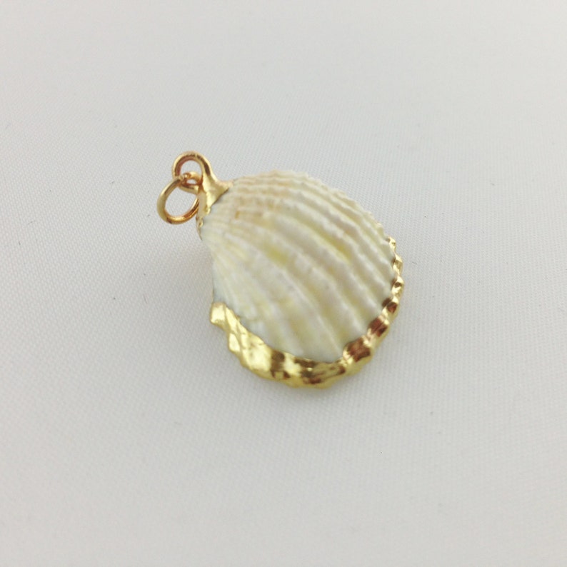 Patelliform Fan Shaped Shell Pendant With 24k Gold Plated Rim Etsy