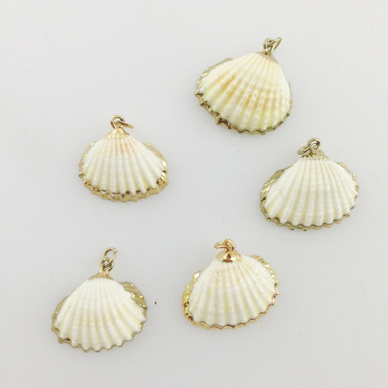 Patelliform Fan Shaped Shell Pendant With 24k Gold Plated Rim Etsy
