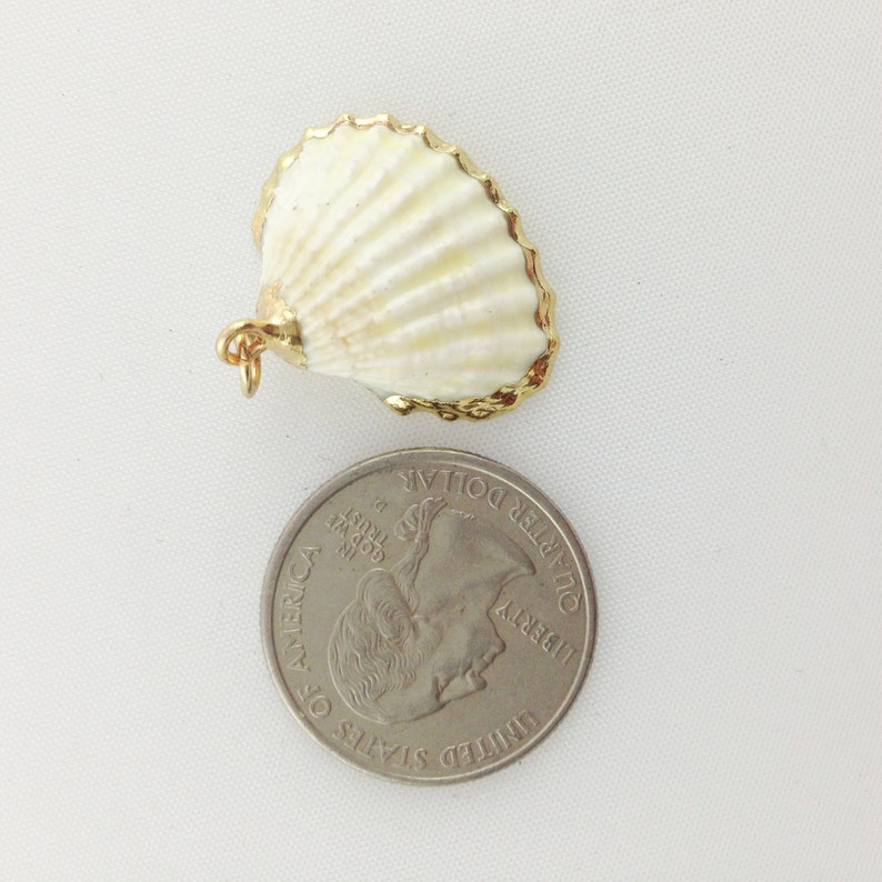 Patelliform Fan Shaped Shell Pendant With 24k Gold Plated Rim Etsy