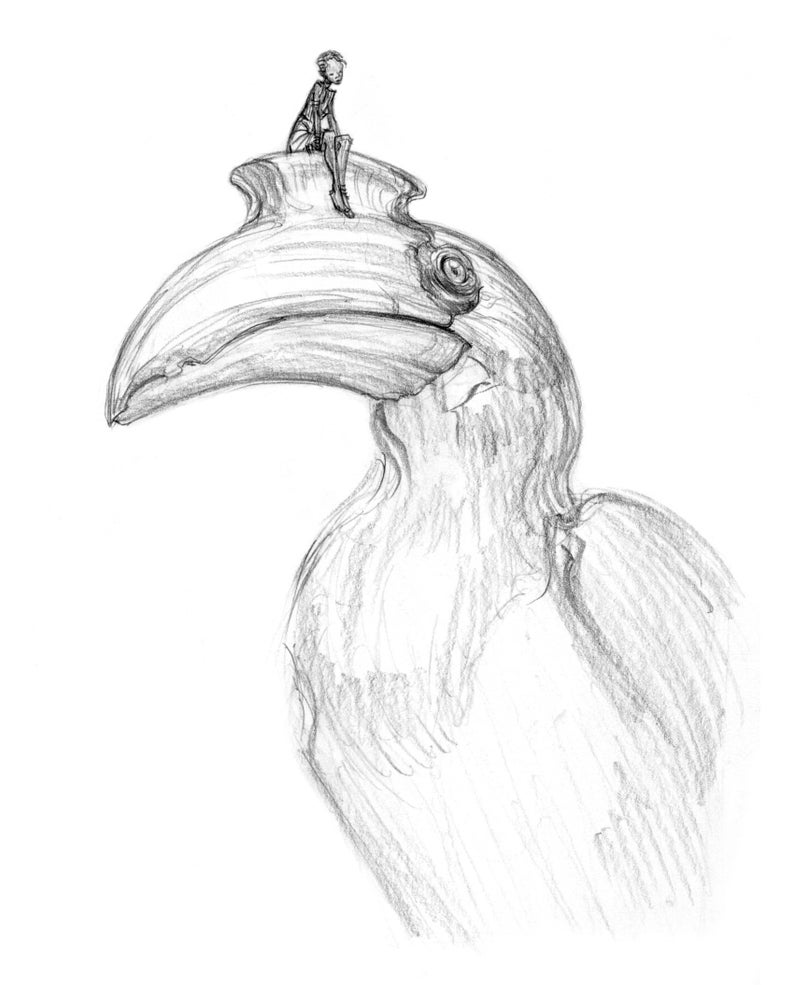 The Hornbill ORIGINAL DRAWING