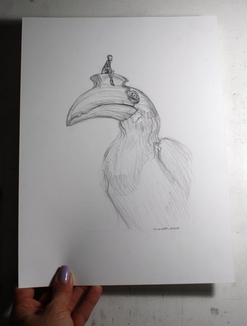 The Hornbill ORIGINAL DRAWING