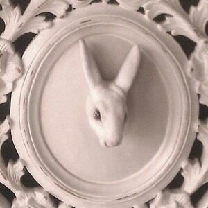 May include: White, ornate wall decor featuring a central, framed rabbit head sculpture. The rabbit is in the center of a circular frame, surrounded by detailed floral and leaf carvings. The overall design is vintage and elegant.