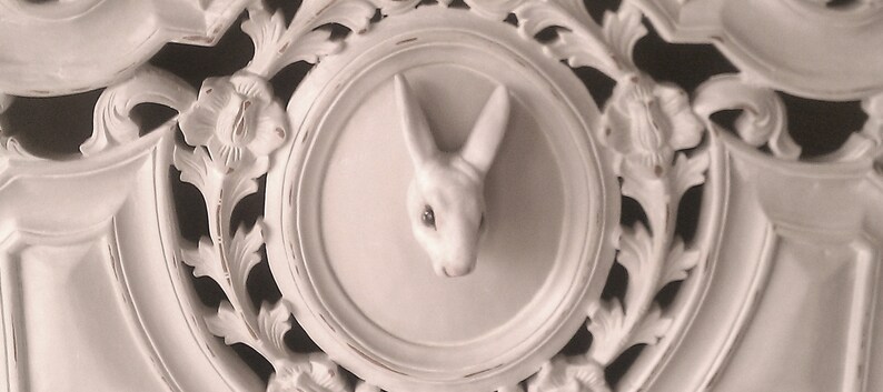 May include: White, ornate wall decor featuring a central, framed rabbit head sculpture. The rabbit is in the center of a circular frame, surrounded by detailed floral and leaf carvings. The overall design is vintage and elegant.