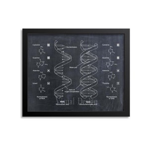 DNA Print Art, RNA Print Art, Science Art, Human DNA, Biology Print, Science Art Print, Wall Art Poster,Genetic Code, Science Teacher Gift