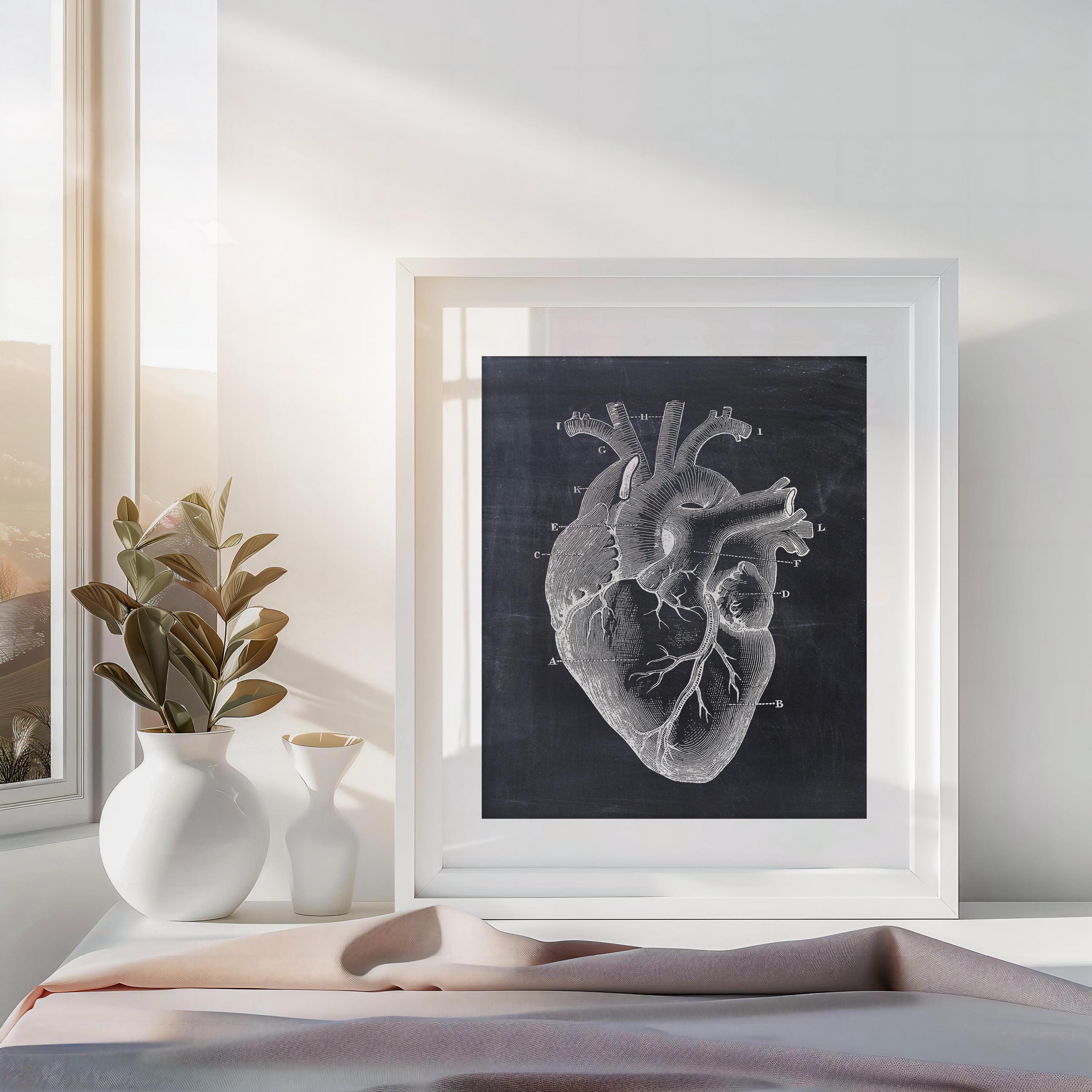 Heart Anatomy Print, Heart Print, Anatomical Drawing, Anatomy Poster ...