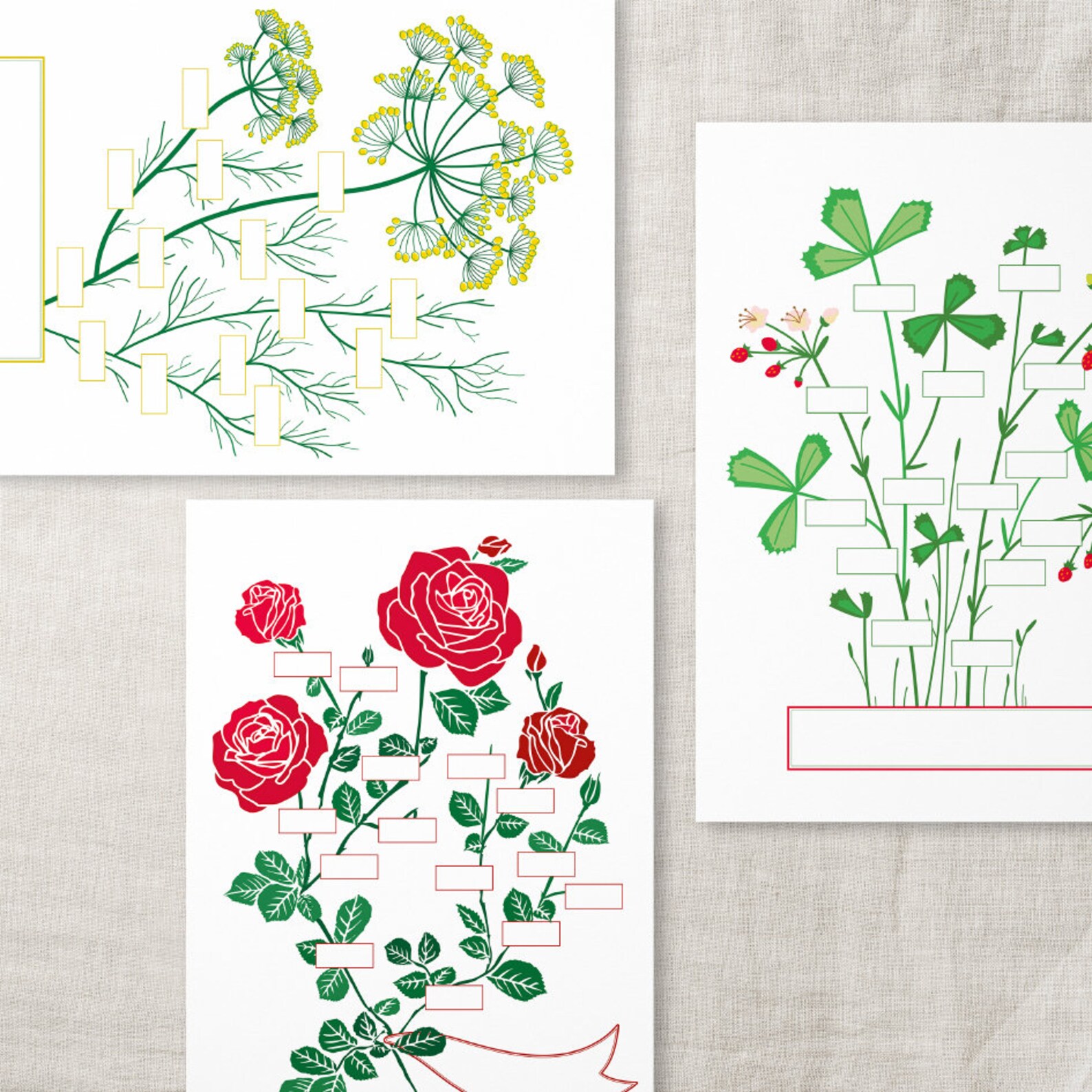 A Fill in Family Tree DILL Etsy