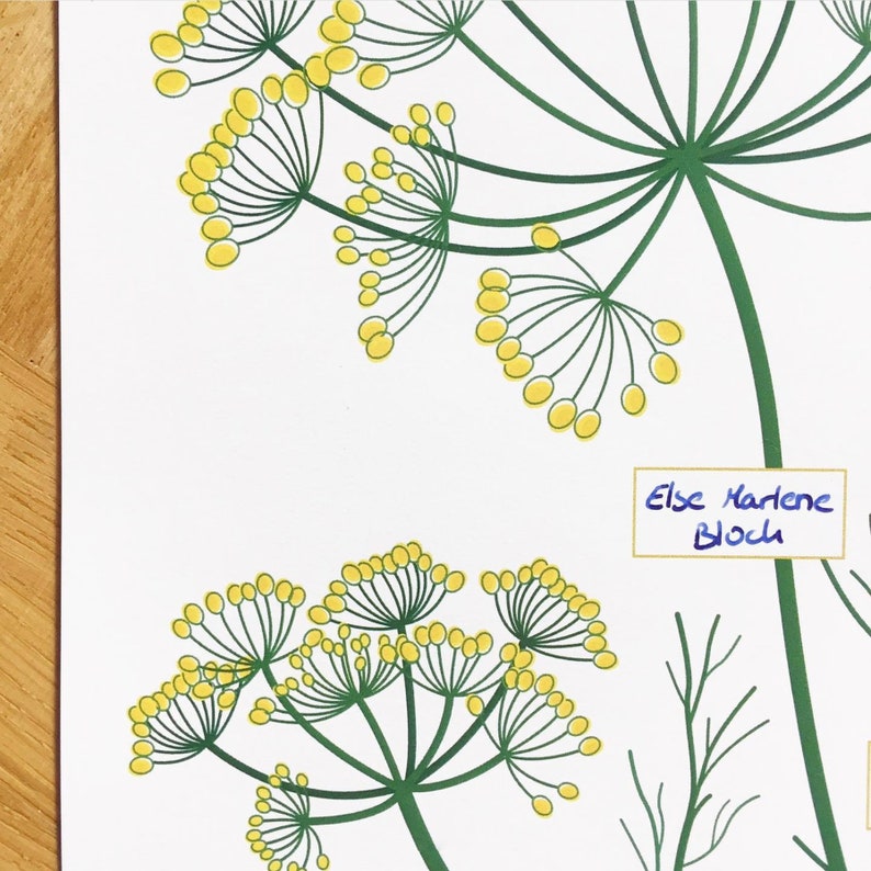 A Fill in Family Tree DILL Etsy