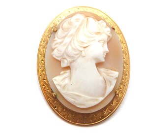 May include: A gold-toned cameo brooch featuring a carved profile of a woman with detailed hair and a delicate design. The cameo is set in a gold-toned oval frame with a textured edge.