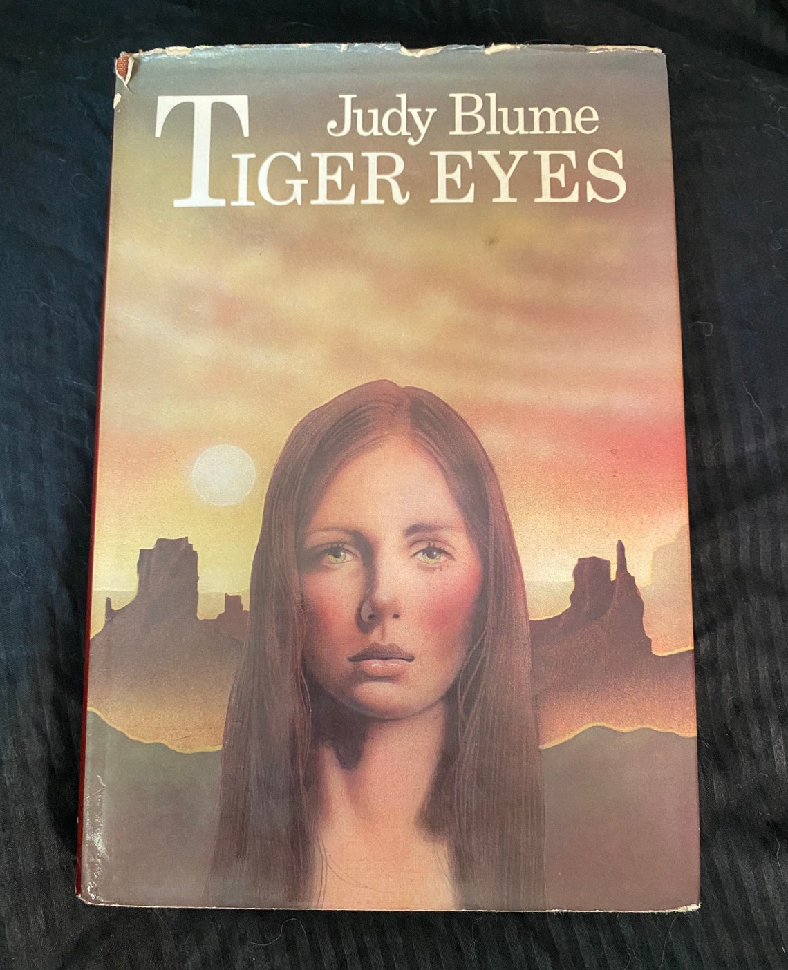 tiger eyes judy blume book summary tiger eyes judy blume book summary