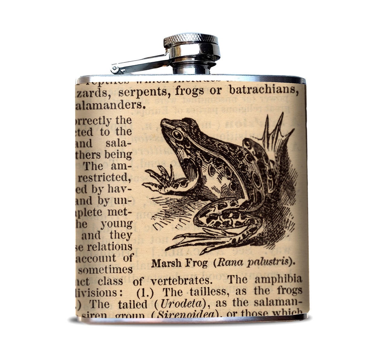 Whiskey Flask FROG DICTIONARY PAGE Premium Hip Flask Etsy
