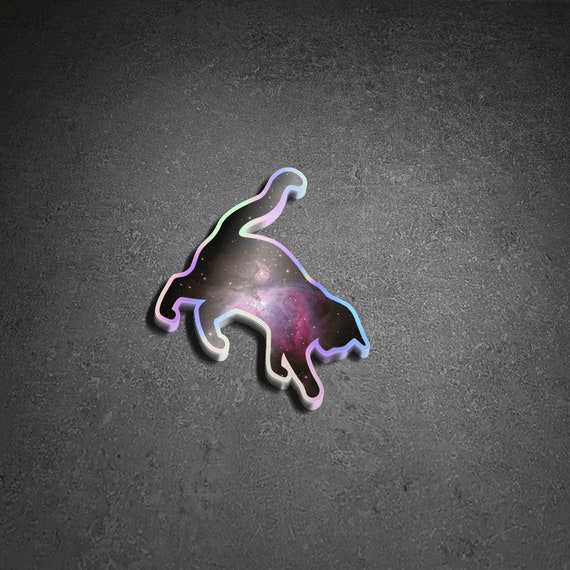 Space Kitty Sticker WATERPROOF Rainbow Holographic Reflective Vinyl Decal NEW 