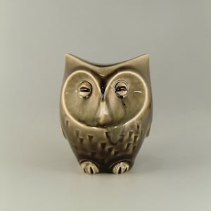Op de afbeelding: Een keramiek uilbeeldje met bruine en witte glazuur. De uil heeft grote, ronde ogen en een gedetailleerde snavel. De uil zit op een wit oppervlak.