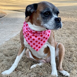 Colorful Pet Bandana Set of 3 - Valentine Gift for Pet - Handmade Over the Collar Dog Bandanas - Dog Mom Present - Gift for Pet