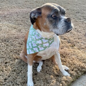 Gift for Pet - Colorful Pet Bandana Set of 3 - Handmade Over the Collar Dog Bandanas - Dog Mom Present - Gift for Pet