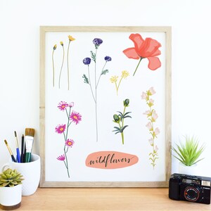 Wildflower Art Print, Botanical Illustration, Wall Art