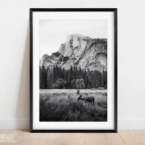 Yosemite Wall Art Print | Home Decor | Nature Print | Black and White Photography | Instant Download | Digital | PRINTABLE