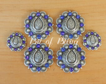 Antique Silver Round Berry Horseshoe Saddle Concho Set with Heliotrope Rhinestones - Western Horse Tack