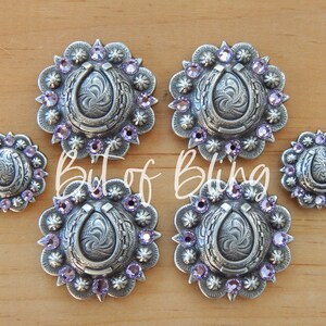 Violet Antique Silver Horseshoe Berry Saddle Concho Set - Western Horse Tack