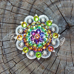 Pode incluir: Um concho redondo decorativo prateado com um arco-&iacute;ris de strass. O concho est&aacute; colocado sobre um fundo de madeira.