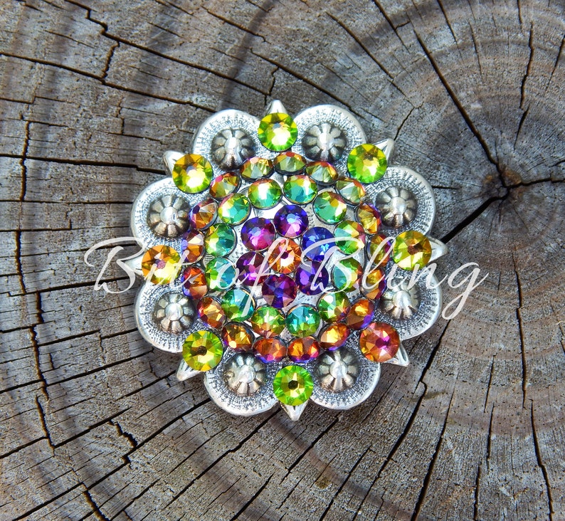 Pode incluir: Um concho redondo decorativo prateado com um arco-&iacute;ris de strass. O concho est&aacute; colocado sobre um fundo de madeira.