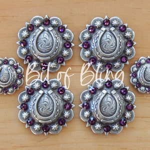 Amethyst Antique Silver Horseshoe Berry Saddle Concho Set - Western Horse Tack