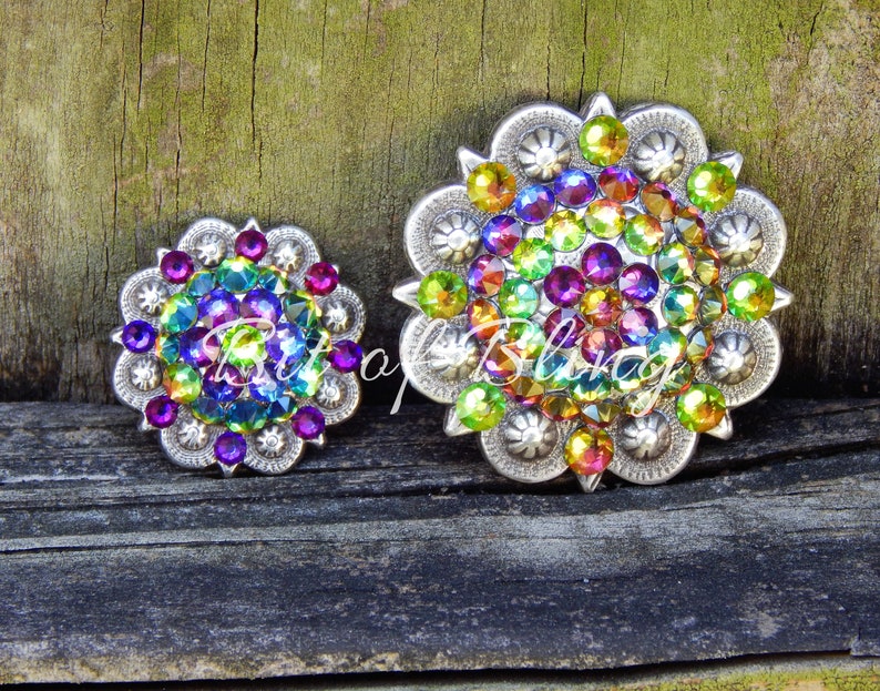 Pode incluir: Dois conchos redondos decorativos prateados com um design floral. Os conchos s&atilde;o cobertos com strass iridescentes em tons de verde, roxo e amarelo.