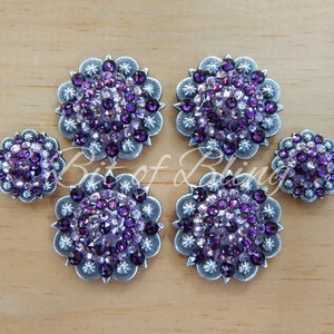 Amethyst & Light Amethyst Antique Silver Round Berry Saddle Concho Set - Western Horse Tack