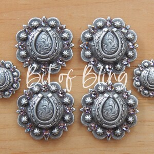 Antique Silver Horseshoe Berry Saddle Concho Set - Vintage Rose - Western Horse Tack