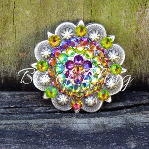 Pode incluir: Uma fivela redonda prateada com um design floral. A fivela &eacute; coberta com strass coloridos em tons de verde, amarelo, laranja, vermelho, roxo e azul.